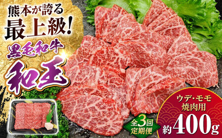 【全3回定期便】熊本県産 A5等級 黒毛和牛 和王 ウデ・モモ 焼肉用 約400g 計約1.2kg  焼肉 焼肉 焼肉 焼肉 焼肉[AYCH030]