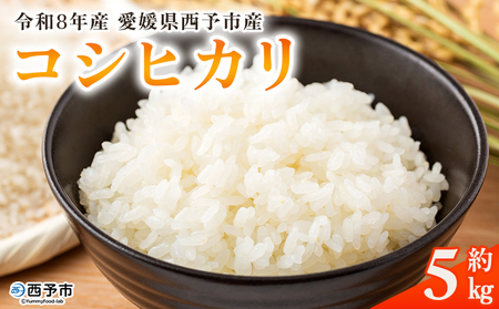 新米＜令和8年産 コシヒカリ 5kg＞国産 愛媛県産 宇和町産 宇和米 こしひかり お米 米 コメ こめ 白米 精米 ご飯 新鮮 5キロ 特産品 大塚農園 愛媛県 西予市【常温】『2026年10月・1