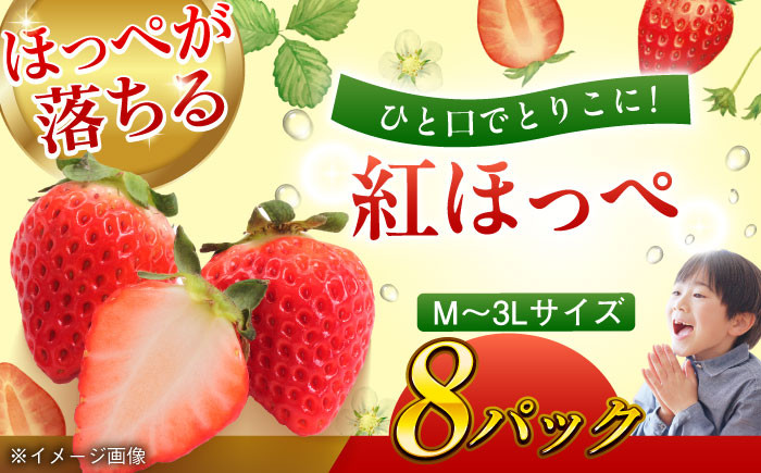 
            【先行予約】【2025年1月初旬より順次発送】 大粒 いちご 紅ほっぺ約 2kg（270ｇ×4パック）＼レビューキャンペーン中／愛媛県大洲市/沢井青果有限会社 [AGBN027] 果物 フルーツ 苺 いちご 大粒 紅ほっぺ いちご 先行予約 イチゴ いちご煮 
          