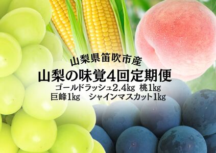 【2026年発送★先行予約】山梨の味覚定期便　全4回　ゴールドラッシュ　桃　巨峰　シャインマスカット 167-141-26y