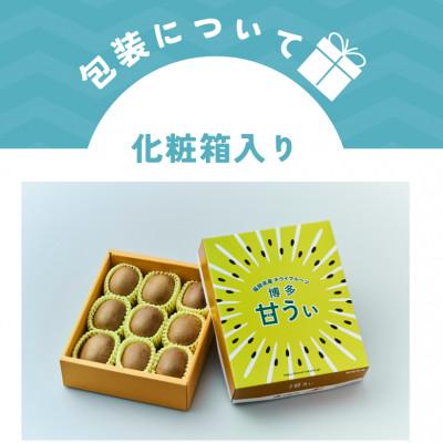 ふるさと納税 北九州市 福岡県産 博多甘うぃ 約1.4kg (大玉9玉入り)【2025年10〜11月発送】 |  | 03