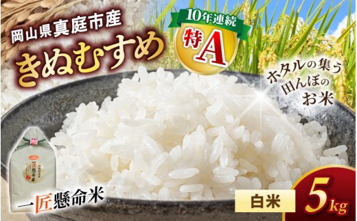 【令和8年産 新米 先行予約】きぬむすめ 白米 5kg 岡山県真庭市産 特A米 特A評価 米 お米 精米 国産 米 こめ 5キロ R8 5kg 新米きぬむすめ 人気 ブランド 竹中商店 2026年産 国産米 岡山県産米 【tkns005-02】