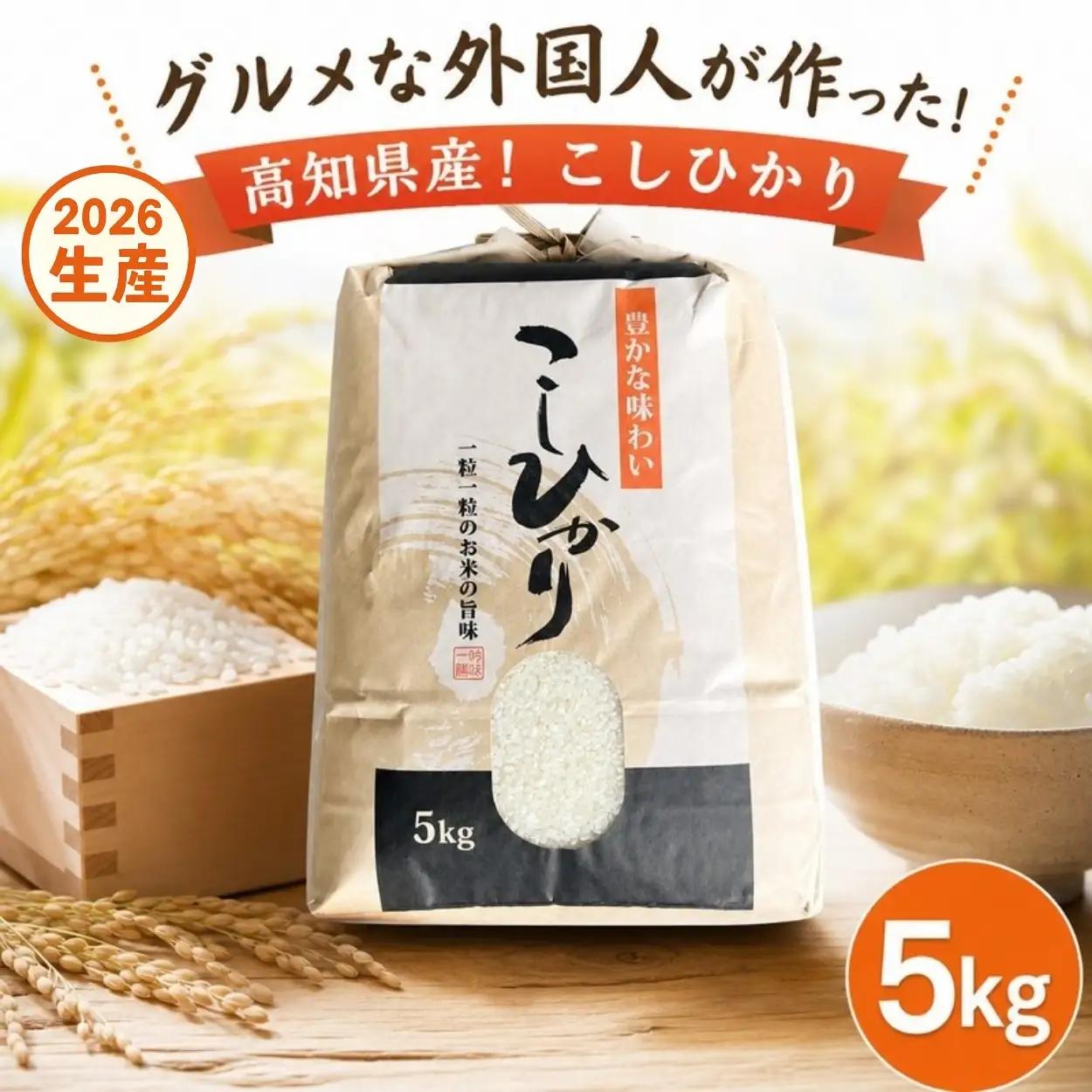 こしひかり 白米 新米 5kg 2026年産［0941-3］