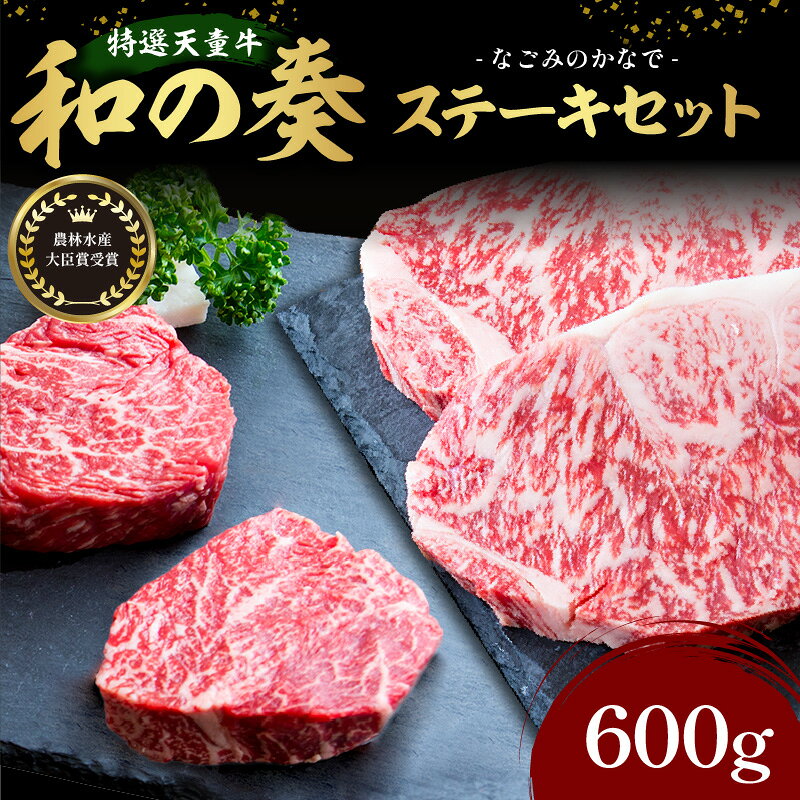 【ふるさと納税】 農林水産大臣賞受賞 特選 天童牛 " 和の奏 " ステーキ セット サーロイン 200g × 2 ヒレ 100g × 2 国産 黒毛和牛 和牛 牛肉 山形牛 国産飼料 ご家庭用 のし 贈答 お取り寄せ グルメ 冷凍 送料無料 なごみ農産 【 山形県 天童市 】