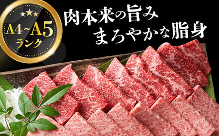 【全12回定期便】【A4～A5】長崎和牛焼肉用　500g【株式会社 MEAT PLUS】[DBS036]