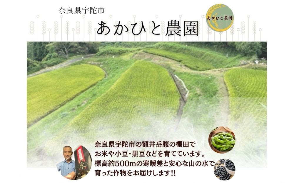 宇陀大納言小豆300g×2袋（2Lサイズ以上） ／ ふるさと納税 小豆 国産 あずき 大納言 あんこ 奈良県 宇陀市 あかひと農園
