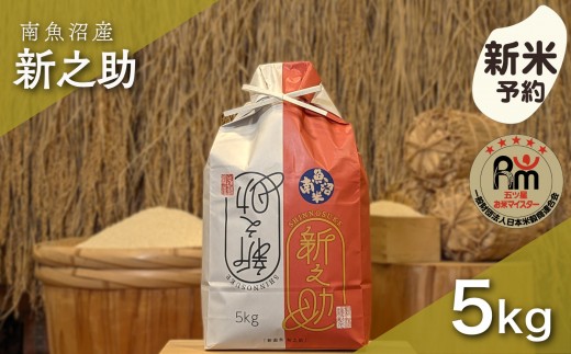 
                  【新米予約】令和８年産「五つ星お米マイスター」の南魚沼産新之助　精米５kg【銘柄米 ブランド米 精米 新之助 魚沼産 新潟米 産地直送 お米 米 こめ コメ ご飯 御飯 ごはん】【2026年10月下旬から1ヶ月以内に順次発送予定】
                