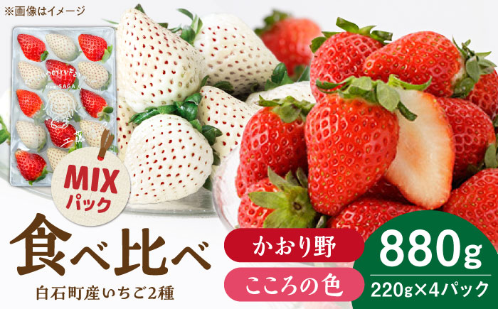 【2026年1月以降発送】こころの色×かおり野ミックス 紅白いちごセット 計880g（220g×4パック） 【Strawberryfarm-K】  紅白いちご 希少 いちご 果物 フルーツ かおり野 セット [IBJ029]