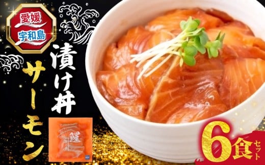 海鮮丼 サーモン 漬け丼 6食  南予ビージョイ SALMON 刺身 お刺身 刺し身 漬け 漬丼 丼 丼ぶり 海鮮 人気 海の幸 魚介 人気加工品 冷凍 小分け パック お手軽 便利 愛媛 宇和島 D010-150024
