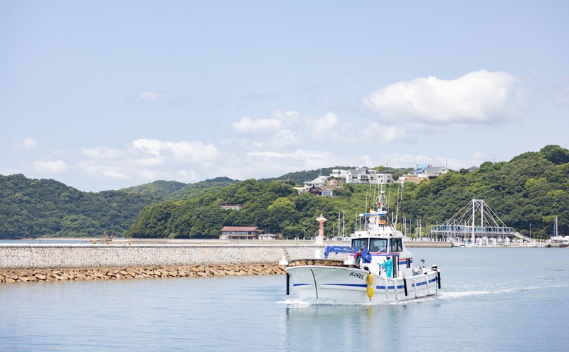 しらす干し 食べきり 小分けパック 大容量 お徳用 35g×20袋 700g 瀬戸内海産 【しらす しらす干し 釜揚げ 太白ちりめん ちりめんじゃこ 牛窓しらす しらす丼 ごはん ごはんのお供 食べ切