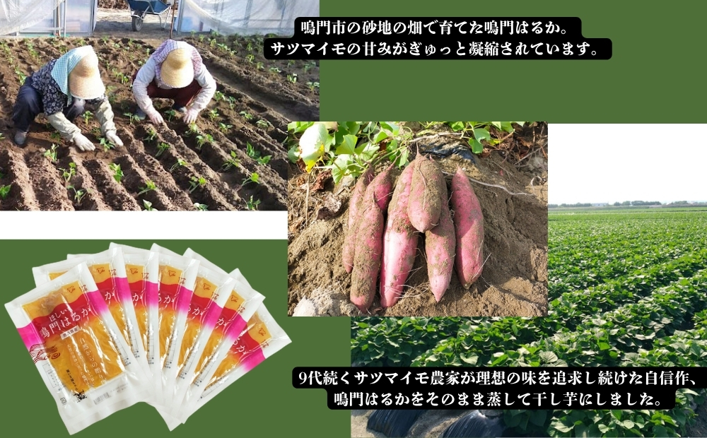 鳴門はるかの干し芋 120g×7袋　紅はるか　鳴門　おやつ　しっとり　さつまいも　さつまいも　干し芋　干し芋　干し芋
