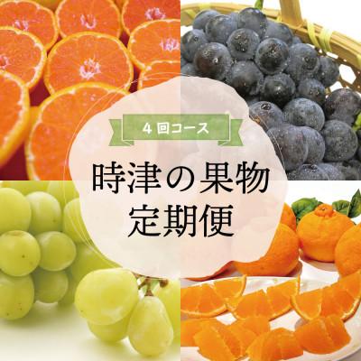 ふるさと納税 時津町 【発送月固定定期便】時津の果物定期便 みかん ぶどう シャインマスカットなど全4回
