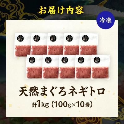 ふるさと納税 日南市 日南市油津港水揚げ 天然 まぐろ ネギトロ(計1kg) |  | 03