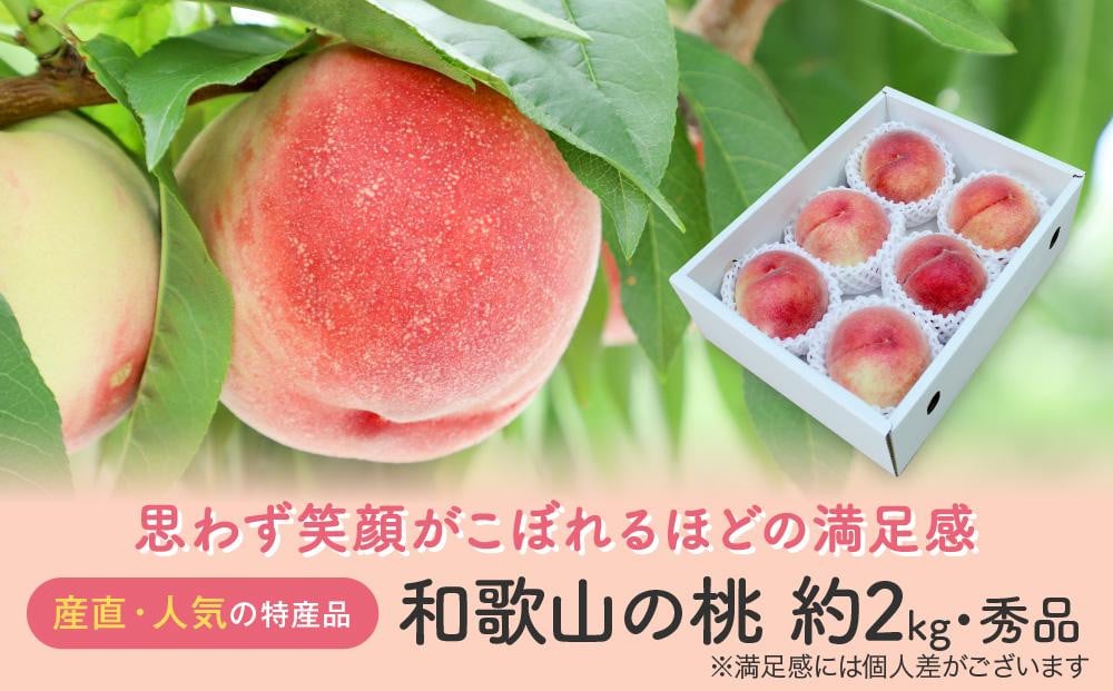 
【産直・人気の特産品】和歌山の桃　約2kg・秀選品★2025年6月下旬～8月上旬頃順次発送★【TM167】
