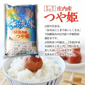 SE0563　令和7年産【無洗米】庄内産 特別栽培米 つや姫　10kg(5kg×2袋) SA