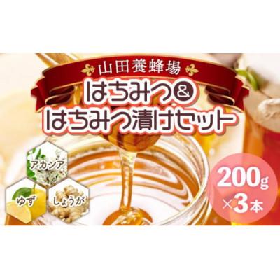 ふるさと納税 鏡野町 はちみつ&amp;はちみつ漬けセット(87665)