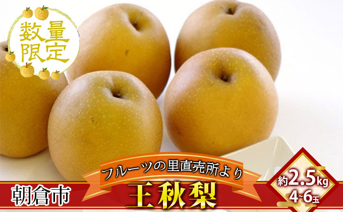 
フルーツの里の直売所より 王秋梨 2.5kg
