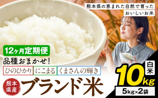 【12ヶ月定期便】米 南関町 単一原料米 (ひのひかりorにこまるorくまさんの輝き)  白米 10kg《お申込み翌月から出荷》熊本県産 国産 白米 こめ コメ 10キロ
