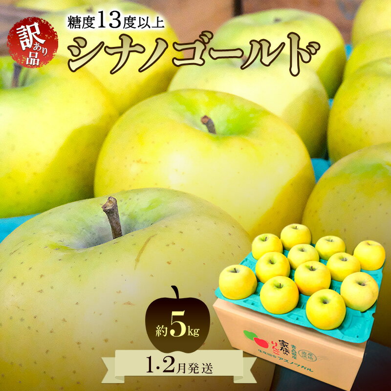 【ふるさと納税】りんご【1月・2月発送】糖度13度以上 訳あり品 家庭用 シナノゴールド 約5kg【青森りんご 果物 フルーツ デザート 食後 青森県産 産地直送 贈り物】　お届け：2027年1月上旬～2月下旬