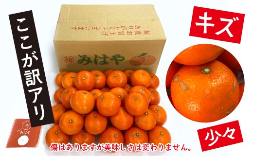 【先行受付】【訳あり】 みはや 5kg 果物 フルーツ くだもの 柑橘 みかん 蜜柑 新品種 おすすめ ワケアリ 不揃い 傷 Ｂ級品 プレゼント おすすめ おすそ分け 家庭用 おやつ スイーツ デザー