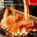 【ふるさと納税】秋田県産 SPF豚ベーコン 400～600g×3パック