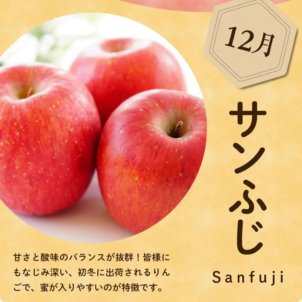 【先行予約】 定期便 令和8年産 りんごの定期便 全4回 約8kg 山形 りんご