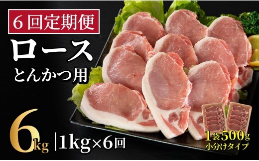 B611《定期便》長崎県産豚 ロースとんかつ用計1kg(100g×5枚×2) 【6回お届け】