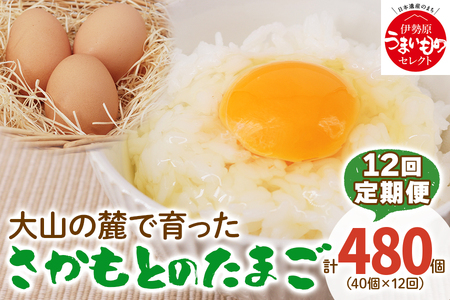 [定期便] たまご 合計480個 (40個×12回)｜坂本養鶏 大山の麓で育ったさかもとのたまご 赤玉卵 玉子 鶏卵 [0098]