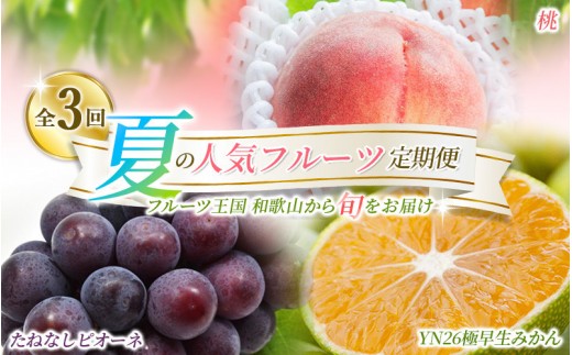
                  【定期便】夏の人気フルーツ定期便！桃・ピオーネ・極早生みかん（全3回）/ フルーツ 果物 もも モモ ぶどう ブドウ みかん ミカン 柑橘 旬 定期便  【tkb153】
                