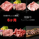 【ふるさと納税】A5飛騨牛　定期便　6カ月ちょこちょこお届け（焼肉・すき焼き・ステーキ）☆