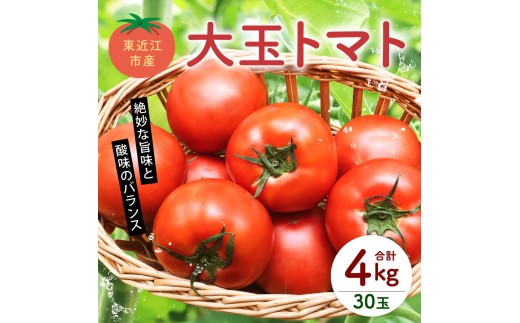 東近江市産 大玉 トマト4kg（30玉） あいとうマーガレットステーション 滋賀県 東近江市 A-C13 トマト 大玉トマト 4kg 野菜 滋賀 新鮮 まとめ買い 料理 ギフト お取り寄せ