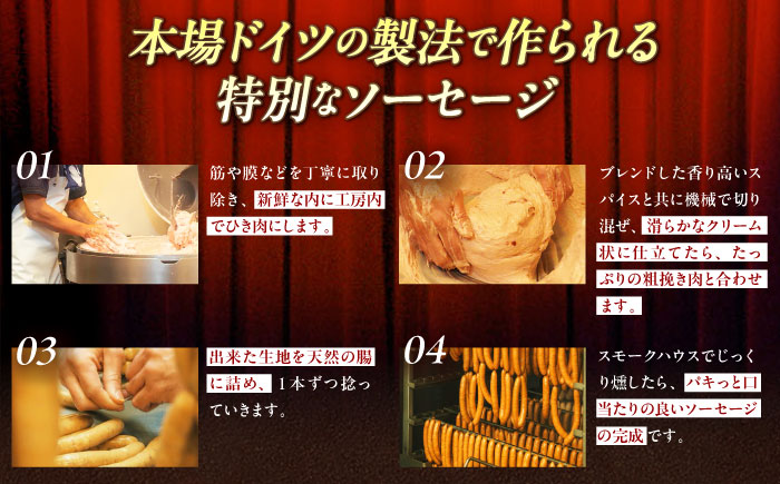 【全6回定期便】【ふるさと納税限定】TESIOの自家製フランク＆ボローニャセット (計380g) 豚肉 ハム ソーセージ 小分け 真空パック 沖縄市 / TESIO [BCAD017]