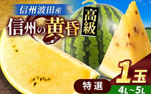 【先行受付：2026年7月発送】信州波田産 甘いスイカ！ 信州の黄昏 ( 金色羅皇 ) 【特選】 4L～5Lサイズ 1玉｜ふるさと納税 長野県 信州 松本 果物 フルーツ すいか スイカ 西瓜 新鮮 大きい 特別 珍しい 黄色スイカ 贈答 季節限定 甘い くだもの ふるーつ