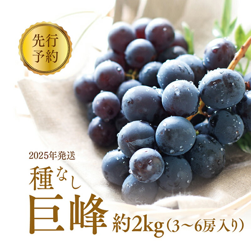 【ふるさと納税】種なし巨峰約2kg（3～6房入り） 　お届け：2025年9月上旬～下旬
