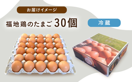 濃厚で甘くておいしい！ 福井ブランド「福地鶏」の卵 30個 ／ 卵 たまご 鶏卵 生卵 有精卵 高級 高級卵 福地鶏 鶏 平飼い 美味しい こだわり 卵かけご飯 料理 あわら市 福井県産 [aw036