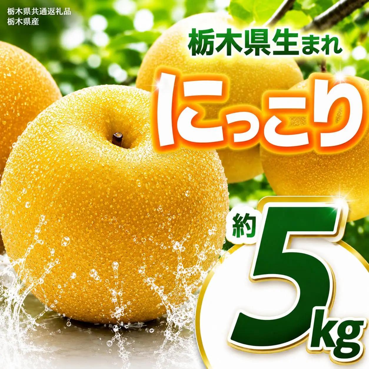 【2026年先行予約】にっこり 約5kg |【栃木県共通返礼品】にっこり 梨 なし ナシ 新品種 先行予約 大粒 新鮮 甘い 美味しい 果物 くだもの フルーツ ふるーつ 共通返礼品 フルーツ デザート 栃木県 那珂川町