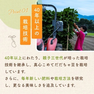 【令和8年産先行予約】だだちゃ豆　(晩生) 1.5kg　 (500g×3袋) 　だだちゃ喜左衛門株式会社　