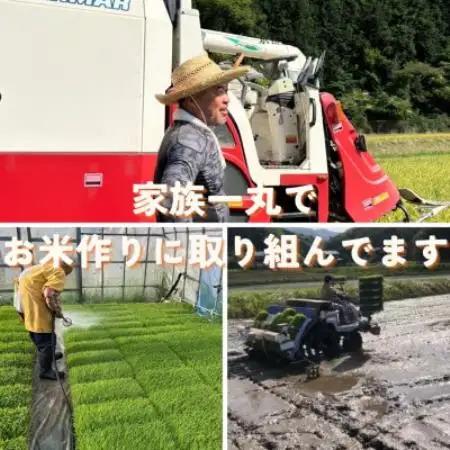 【先行受付】令和8年産米 京都府与謝野町産 丹後コシヒカリ 精米10kg　特別栽培米 京の豆っこ米【1737461】