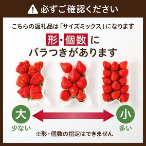 【アフター保証】4月発送！JAよりお届け！「博多あまおう」約280g×2パック【ほたるの里】_HA1938
