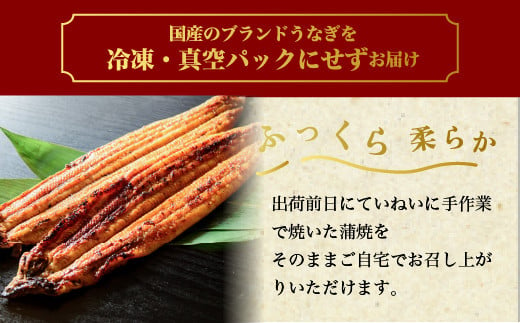 うなぎ白焼き　2尾（120g以上×2尾） | メディアに紹介されたうなぎ屋 国産 冷蔵 うなぎ 鰻 ウナギ タレ・山椒つき しら焼き 土用丑の日　※離島への配送不可