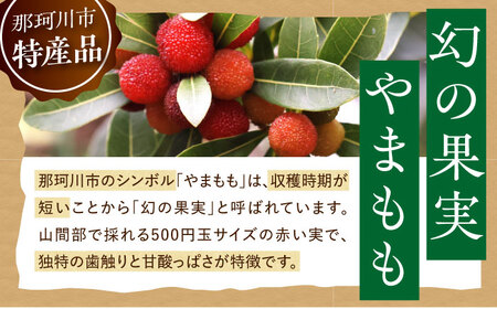 やまももブラウニー 4個入 VISAVIS ＜株式会社シークス＞ 那珂川市[GAU014]