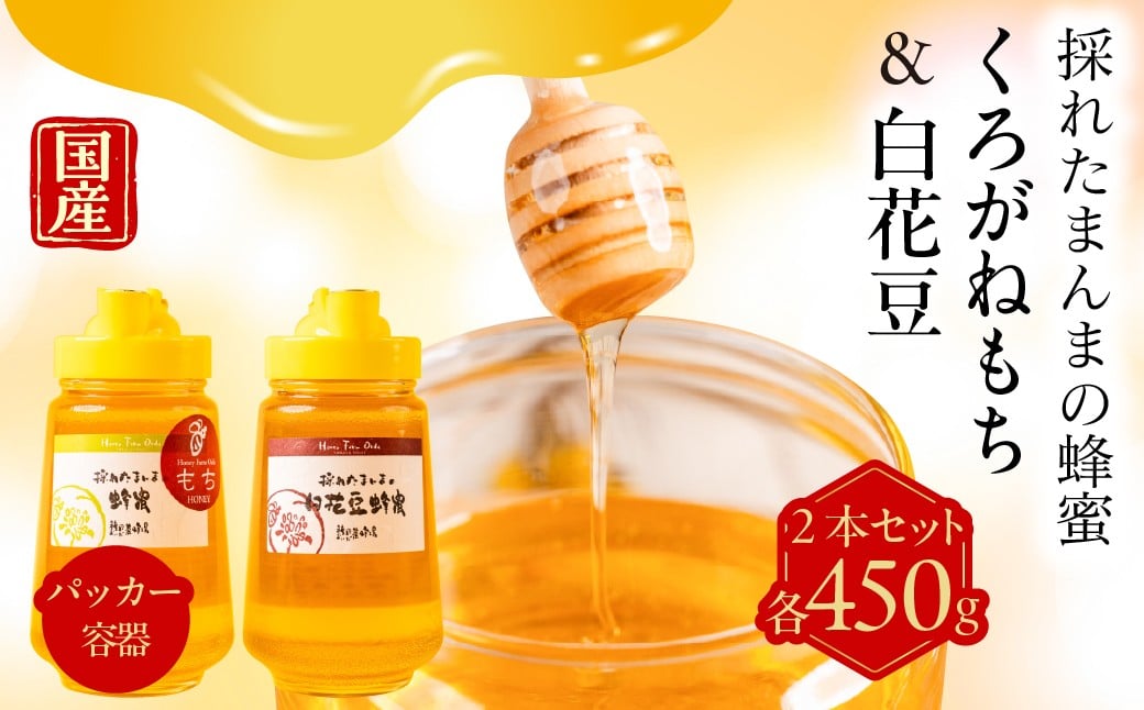 
            【国産蜂蜜】450ｇパッカー容器2本セット（くろがねもち蜂蜜、白花豆蜂蜜）
          