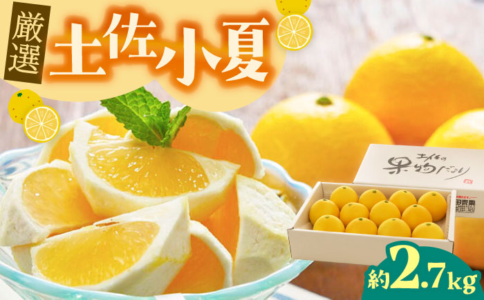 【先行予約】厳選 土佐小夏 約2.7kg <2025年3月～発送>【有限会社 武田青果】 [ATBB003]