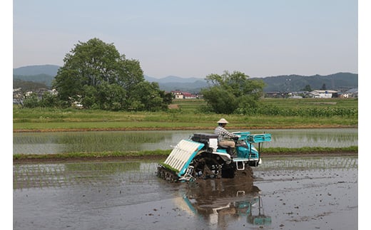 【先行予約】令和7年産 よっしーの「つや姫」さまeco (精米）5kg 米 お米 おこめ 山形県 新庄市 F3S-2494
