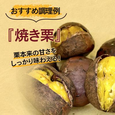 ふるさと納税 西都市 宮崎県西都市産　低温熟成栗(生栗)1.5kg 【先行受付】[3111] |  | 01
