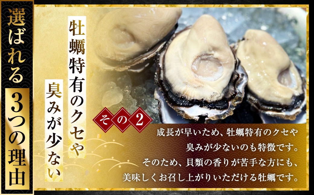 坂越かき 殻付き 30個（牡蠣ナイフ・軍手付き）
