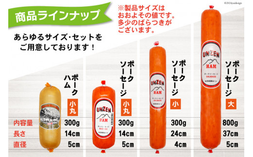 BI002 雲仙ハム ソーセージ 小 300g×2本[ 絶品 人気 ハム ウインナー ソーセージ おつまみ 肉 お弁当 おかず 小分け 便利 国産 豚肉 お歳暮 お中元 長崎県 島原市 送料無料 ]