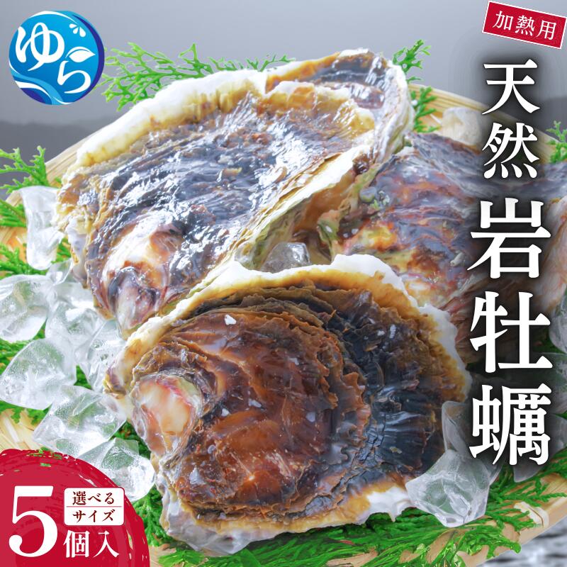 【ふるさと納税】天然岩牡蠣（加熱食用）サイズが選べる！5個入 / カキ 岩ガキ 加熱用 魚介類 水産 食品 海産物 和歌山県 由良町 産地直送人気 おすすめ 送料無料