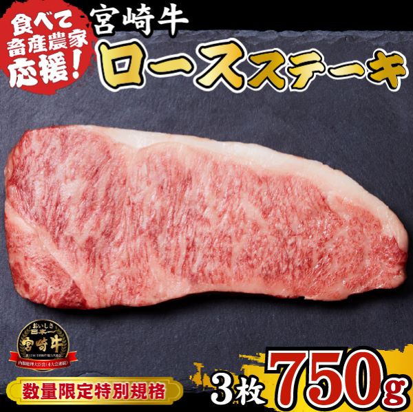【A4等級以上】宮崎牛 ロースステーキ 750g（牛肉 黒毛和牛 畜産農家応援 ロース ステーキ 赤身 数量限定 内閣総理大臣賞）