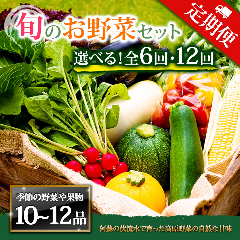 【ふるさと納税】【定期便】畑から直送 季節のお野菜セット XLサイズ 6回 12回 定期便 野菜 10〜12品 定期便 ふるさと納税 全6回 全12回 詰め合わせ セット 新鮮 減農薬 高原 旬 産地直送 野菜 果物 フルーツ 採れたて 甘い 美味しい 人気 安心 安全 熊本県 阿蘇市
